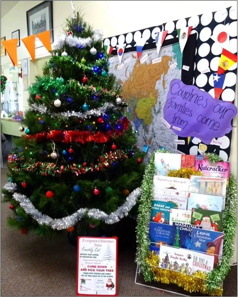 Christmas tree at Aspendale Gardens Primary School, given by Evergreen Christmas Trees