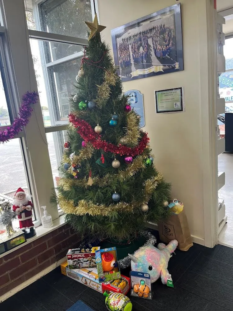 Christmas tree at Edithvale Primary School, given by Evergreen Christmas Trees