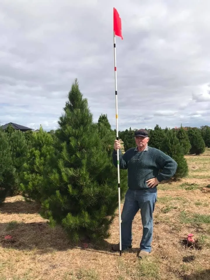 Man with flag next to tree
