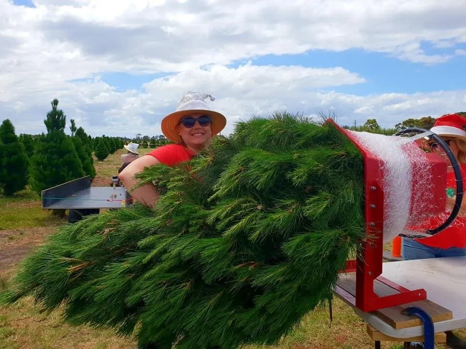 Netting christmas tree