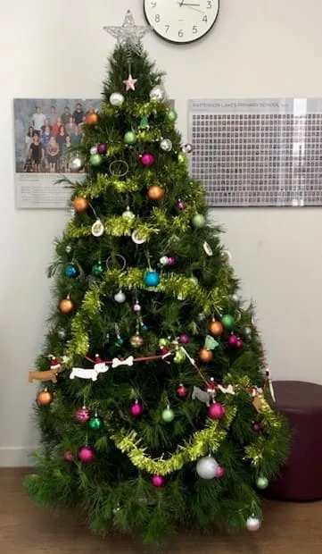 Christmas tree at Patterson Lakes Primary School, given by Evergreen Christmas Trees