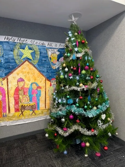 Christmas tree at St Joseph's Primary School, given by Evergreen Christmas Trees